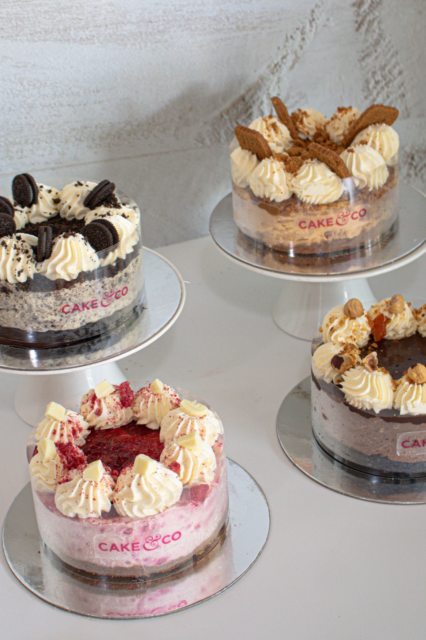 Triple Chocolate & Rum Cheesecake