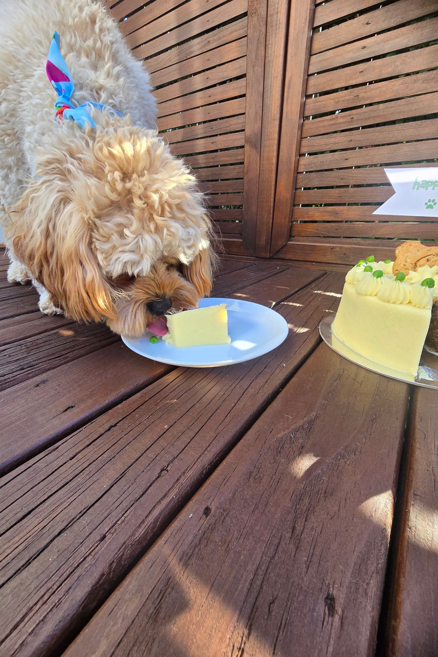 Doggie Birthday Cakes - Carrot and Bacon