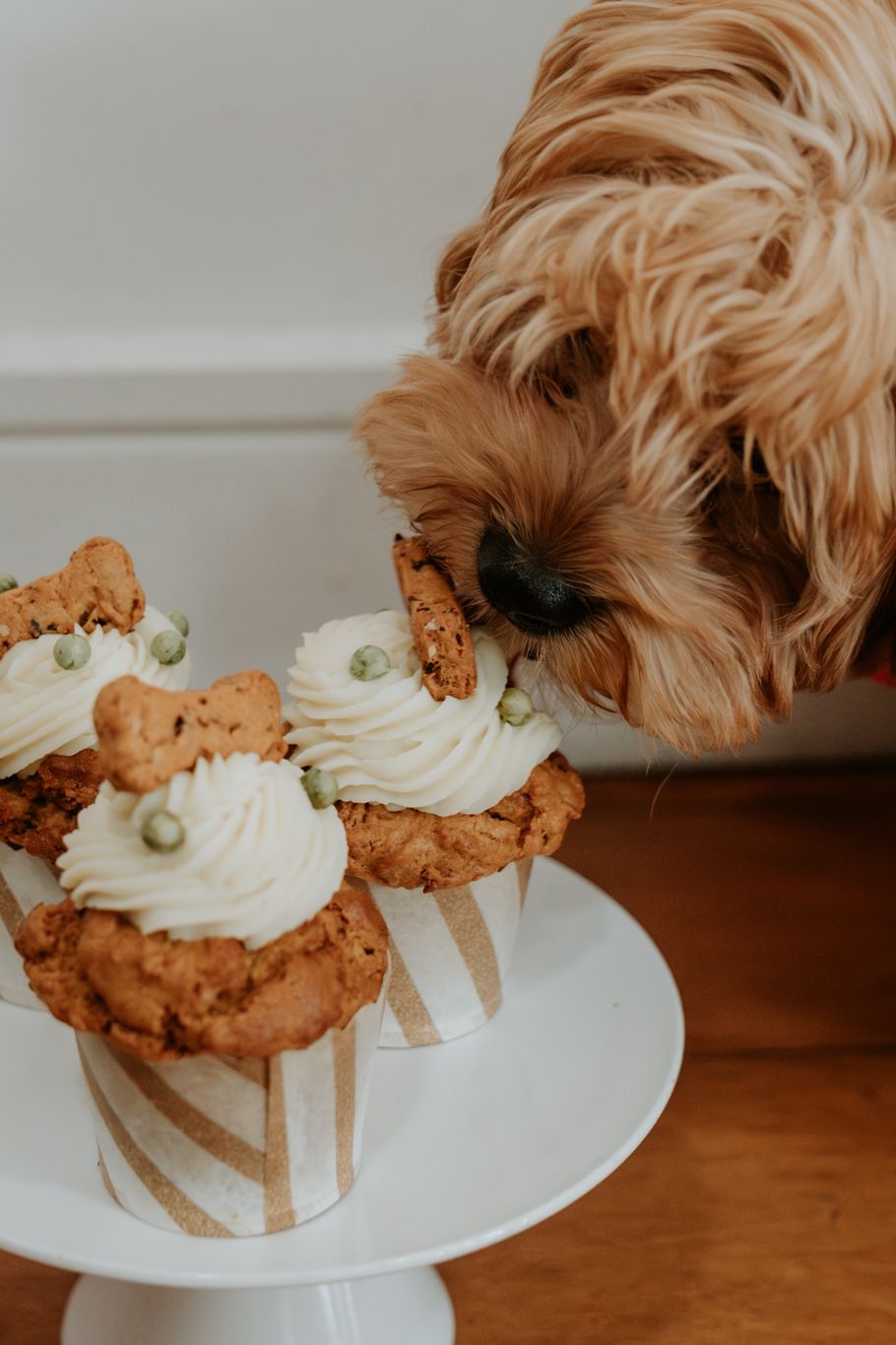 Doggie Birthday Cakes