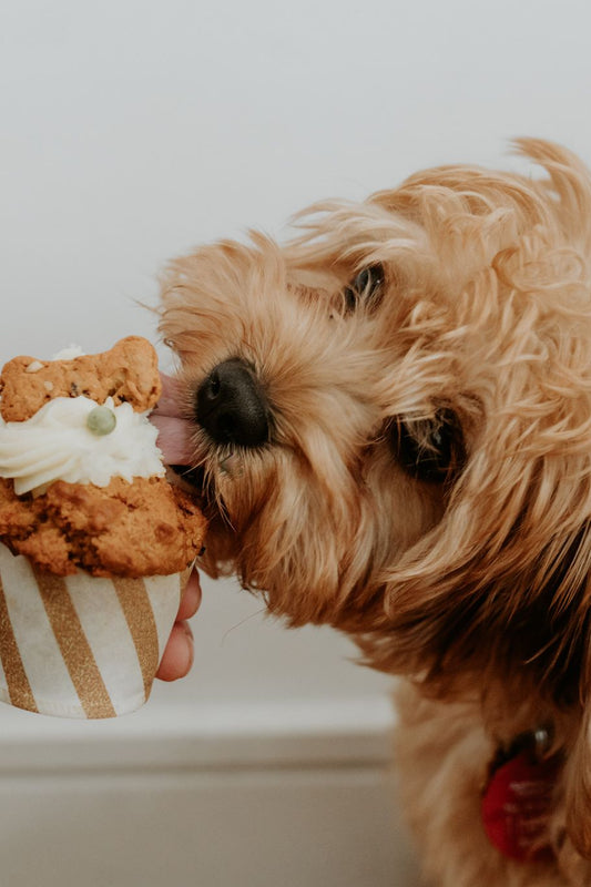 Doggie Pupcups