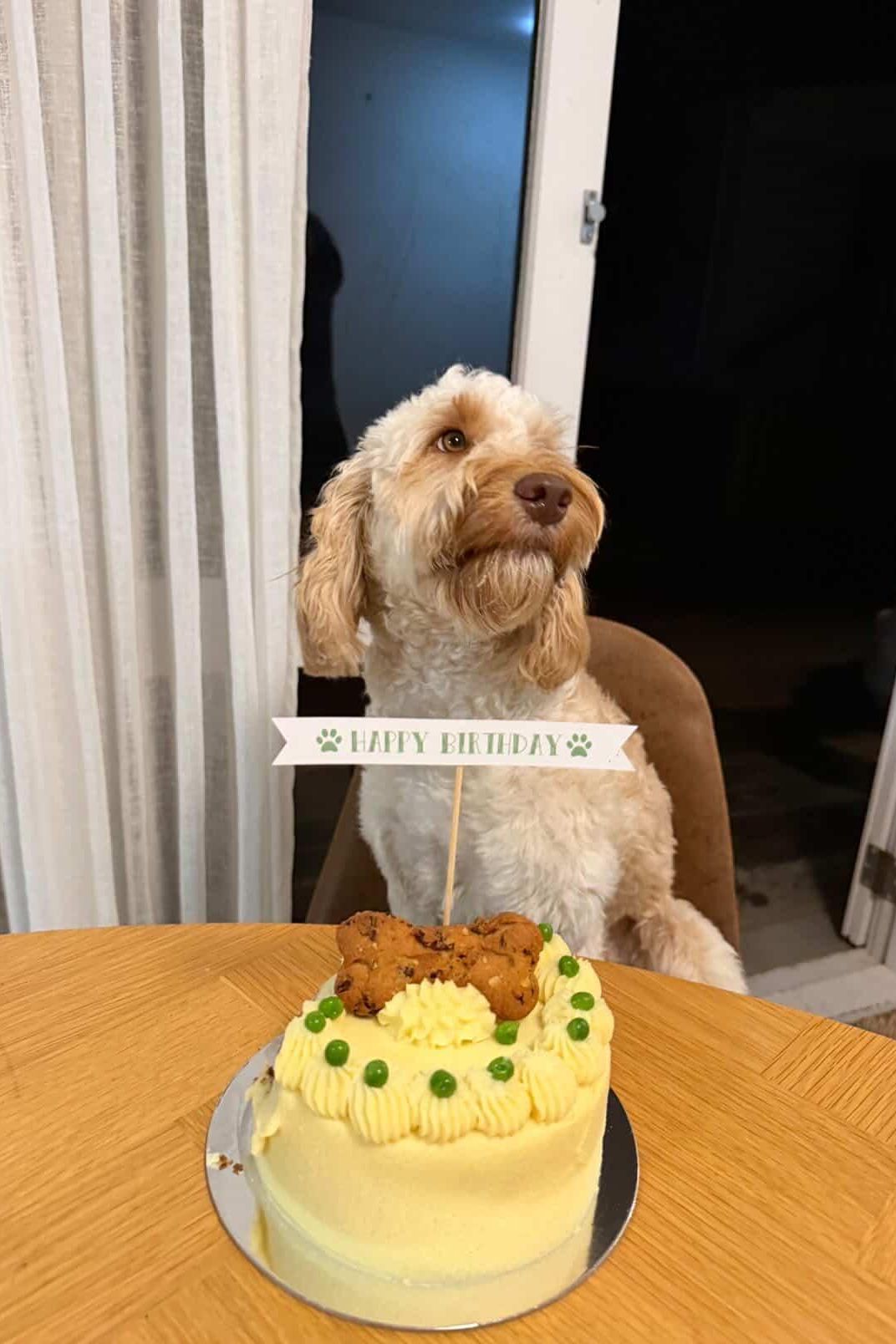 Doggie Birthday Cakes - Carrot and Bacon