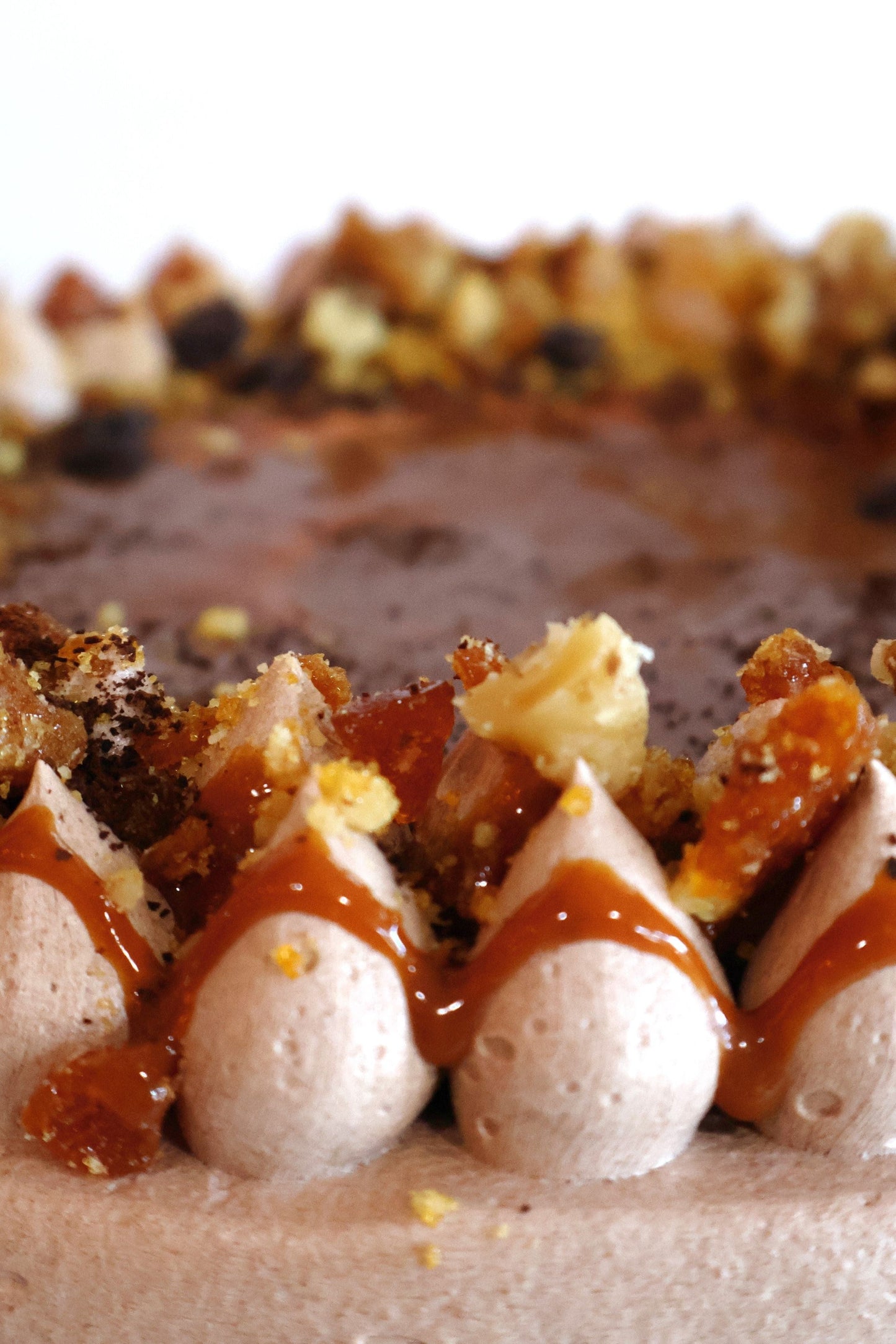 Coffee and Walnut