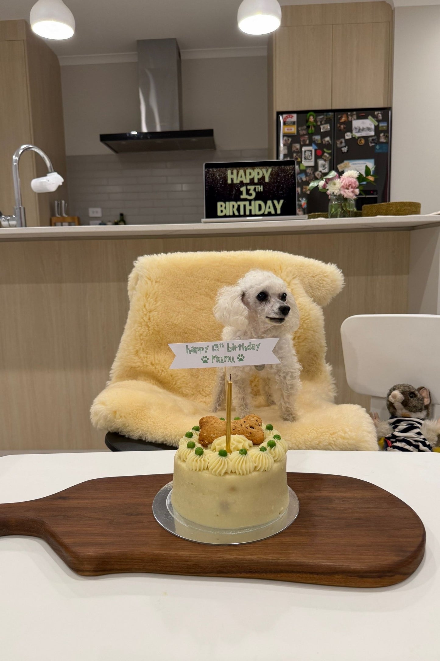 Doggie Birthday Cakes