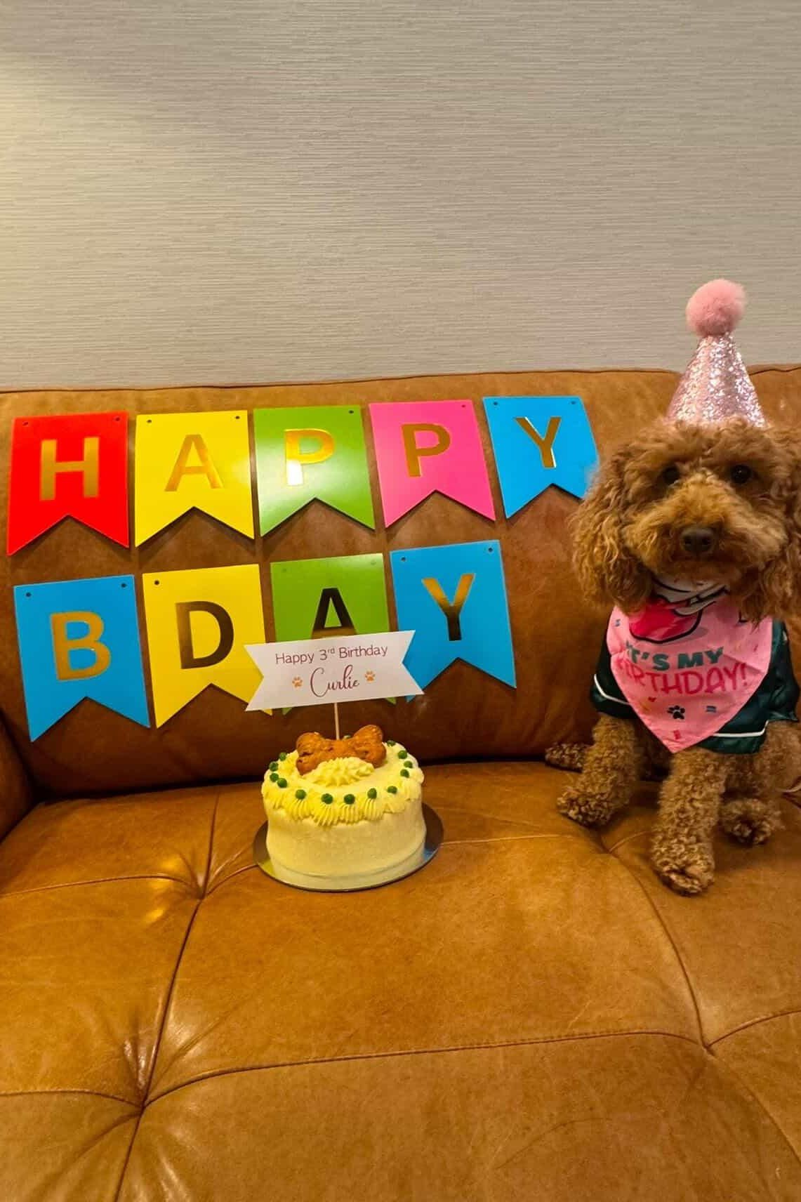 Doggie Birthday Cakes - Carrot and Bacon