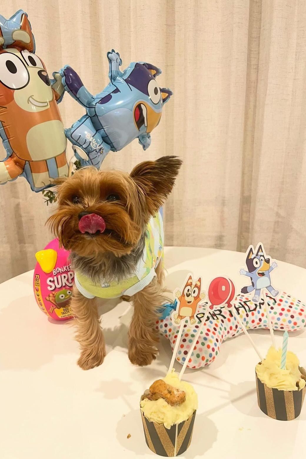 Doggie Pupcups