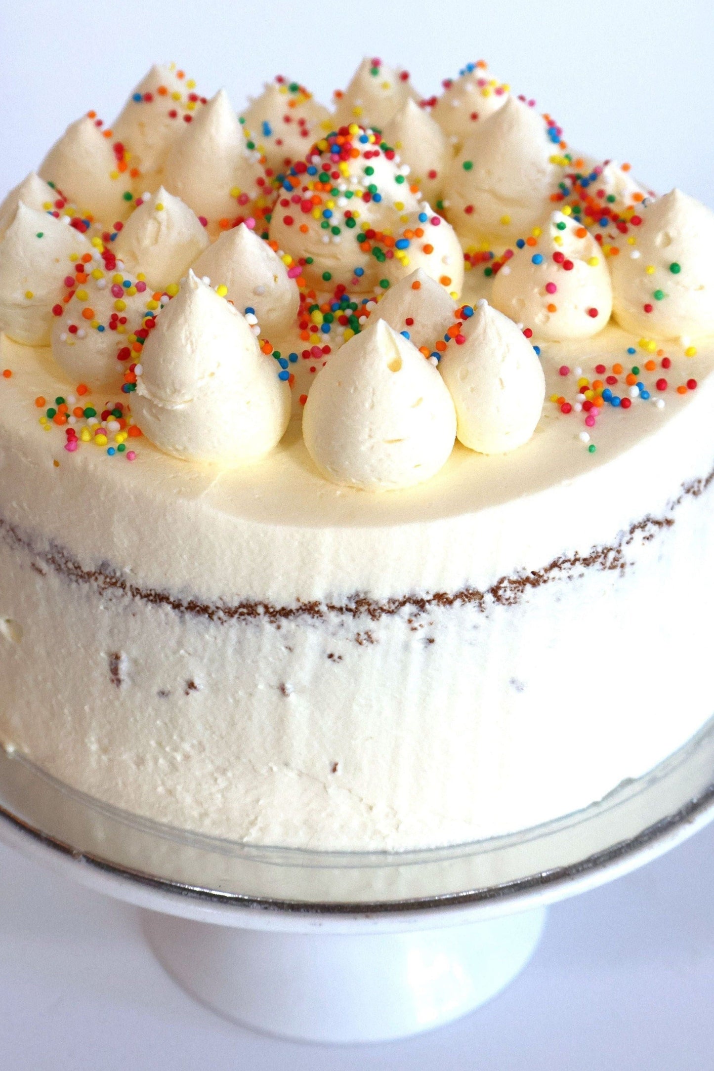 Vanilla Bean
