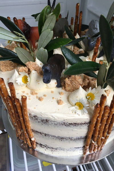 Safari cake, 3 layer cake